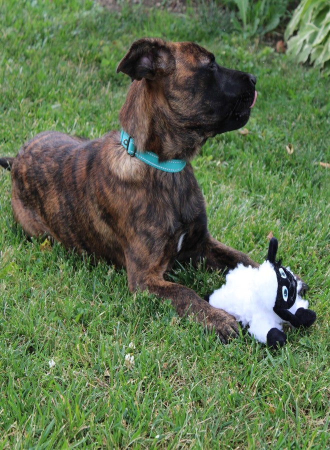 SPOT Baa Baa Black Sheep Plush Dog Toy - Cute and Cuddly Fleece Toy with Squeaker for Small Dogs and Puppies, 8in Black and White Lamb - Image 5